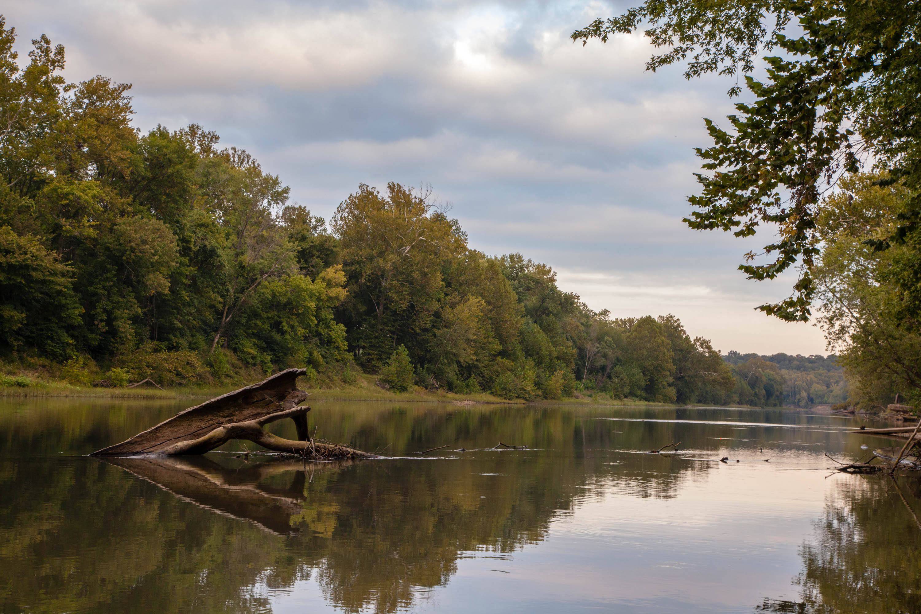 a large river with trees along the side
