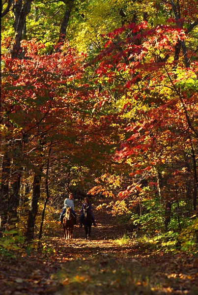 Horseback riders enjoying the fall colors on a trail at Sam A. Baker State Park