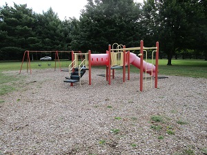 playground equipment with a slide and monkey bars and a swing set