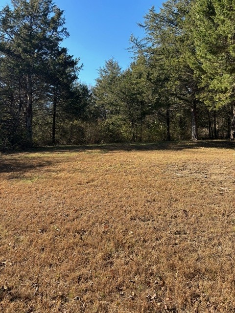 Open grassy area with trees in the background