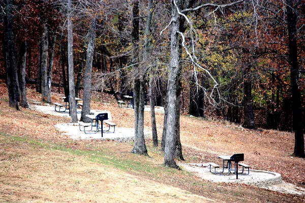 three picnic tables on conctete pads scattered under tall trees