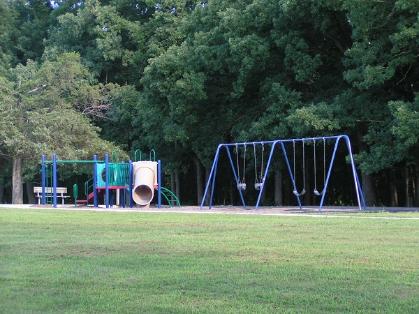 playground equipment with slides and monkey bars and a swing set