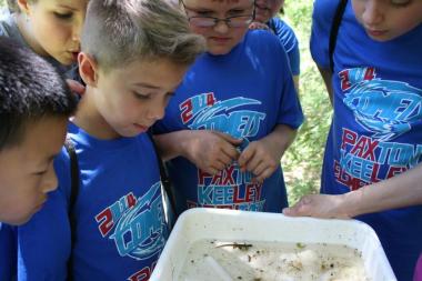 Kids looking at the aquatic life in a pan of water dipped from a creek
