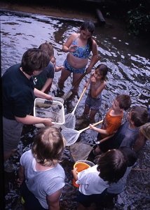 a naturalist and a group of kids use nets to discover aquatic life