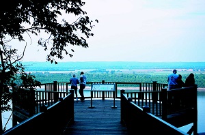 people enjoyin a view of the Mississippi River on the overlook at Trail of Tears State Park