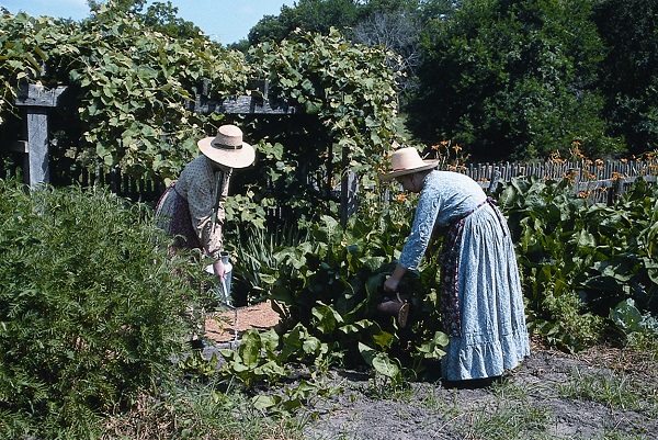 women in period costumes work in the garden