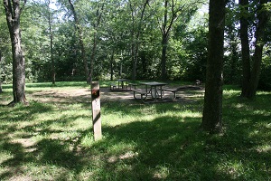 picnic tables in a shaded area