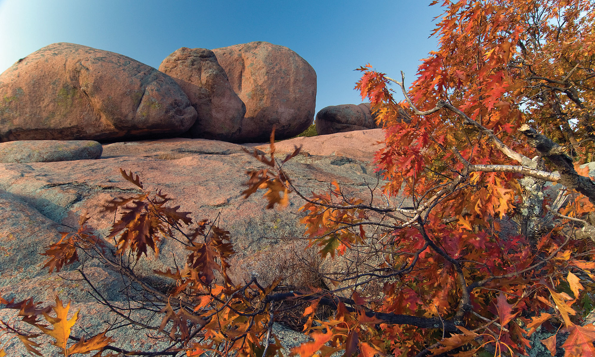 giant boulders on top of a rock bed with fall color trees in the foreground