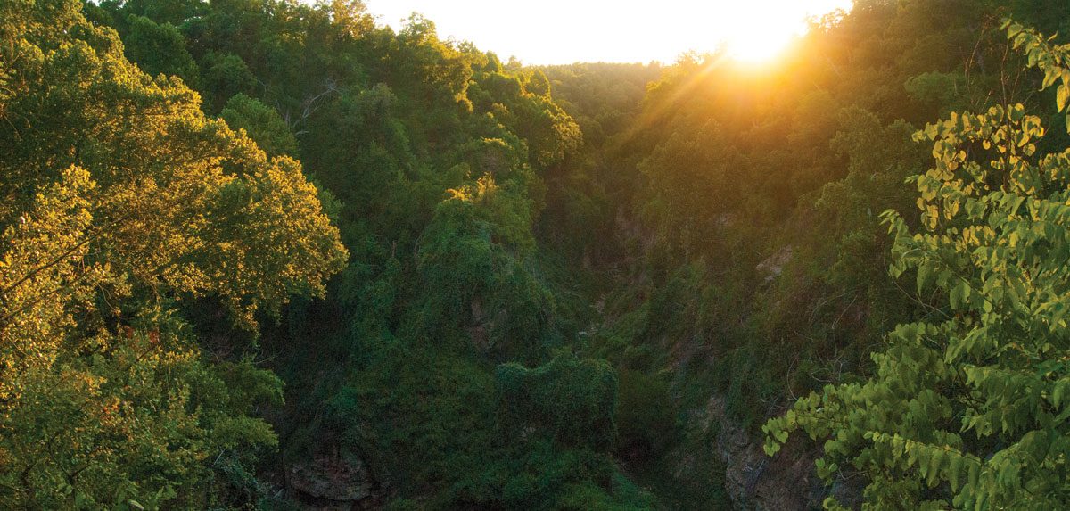 A scenic view at Grand Gulf State Park