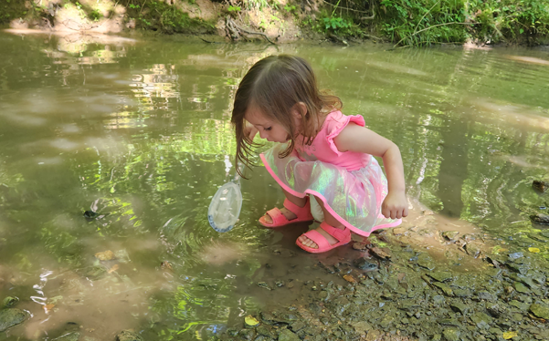 a child playing in river at Rock Bridge State Park