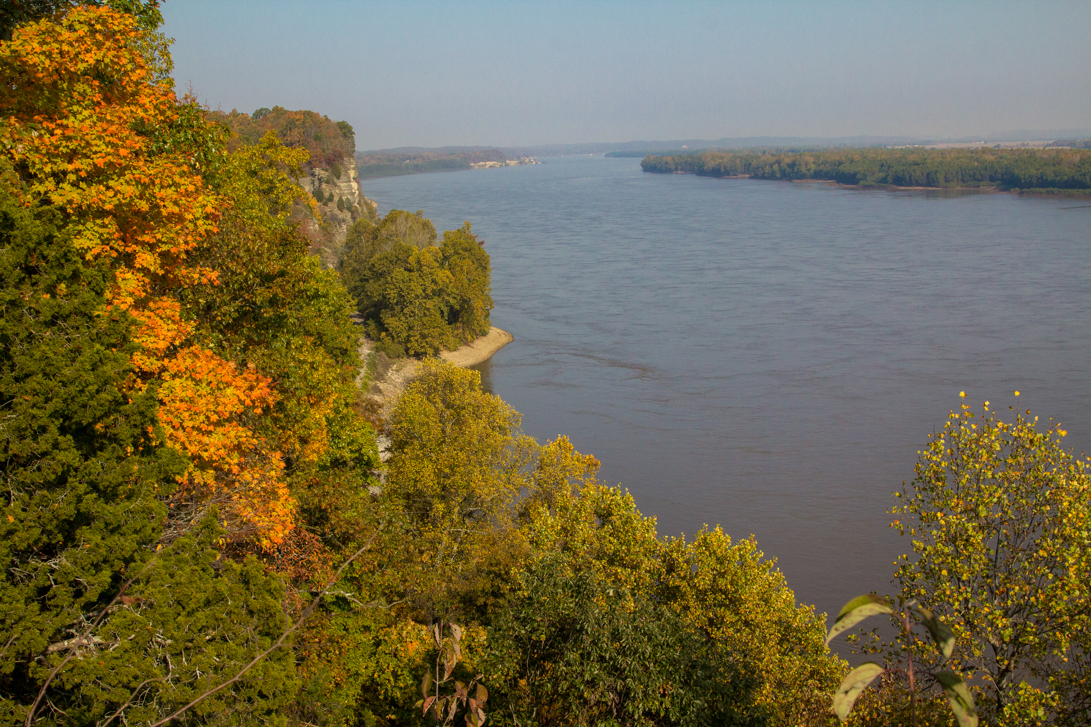 Arial view of the woods