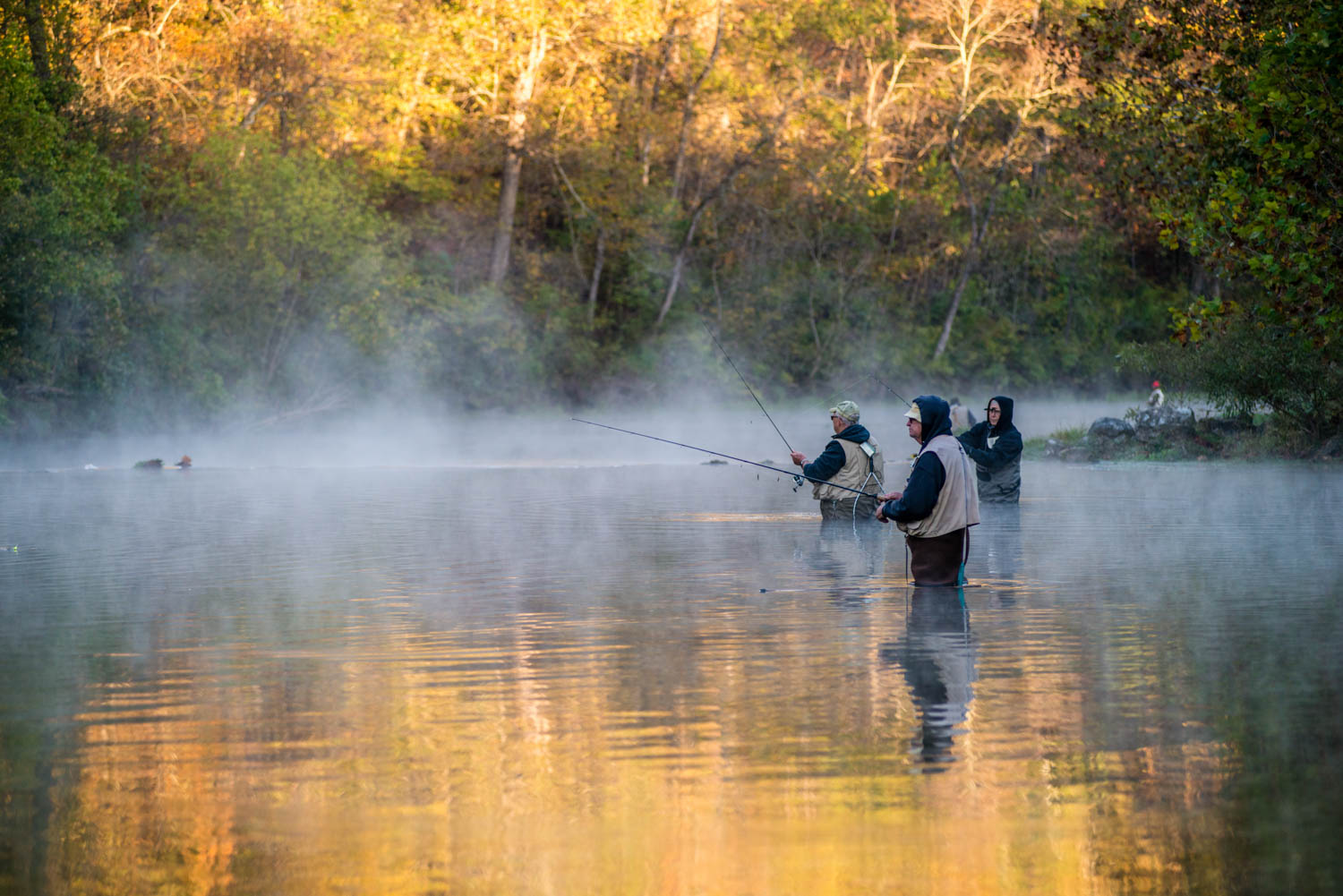people fly-fishing in a river