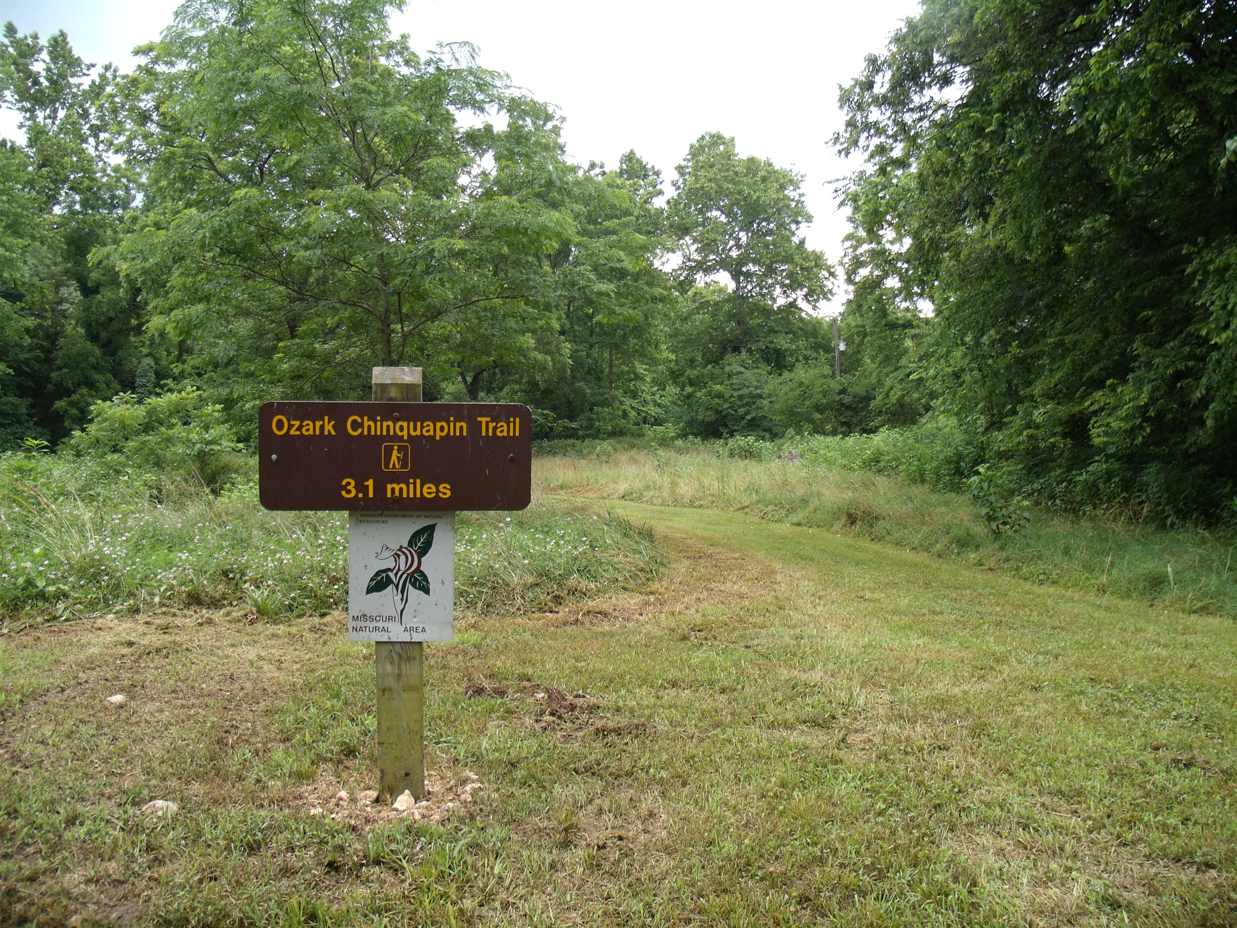 the trail start sign for the Ozark Chinquapin Trail