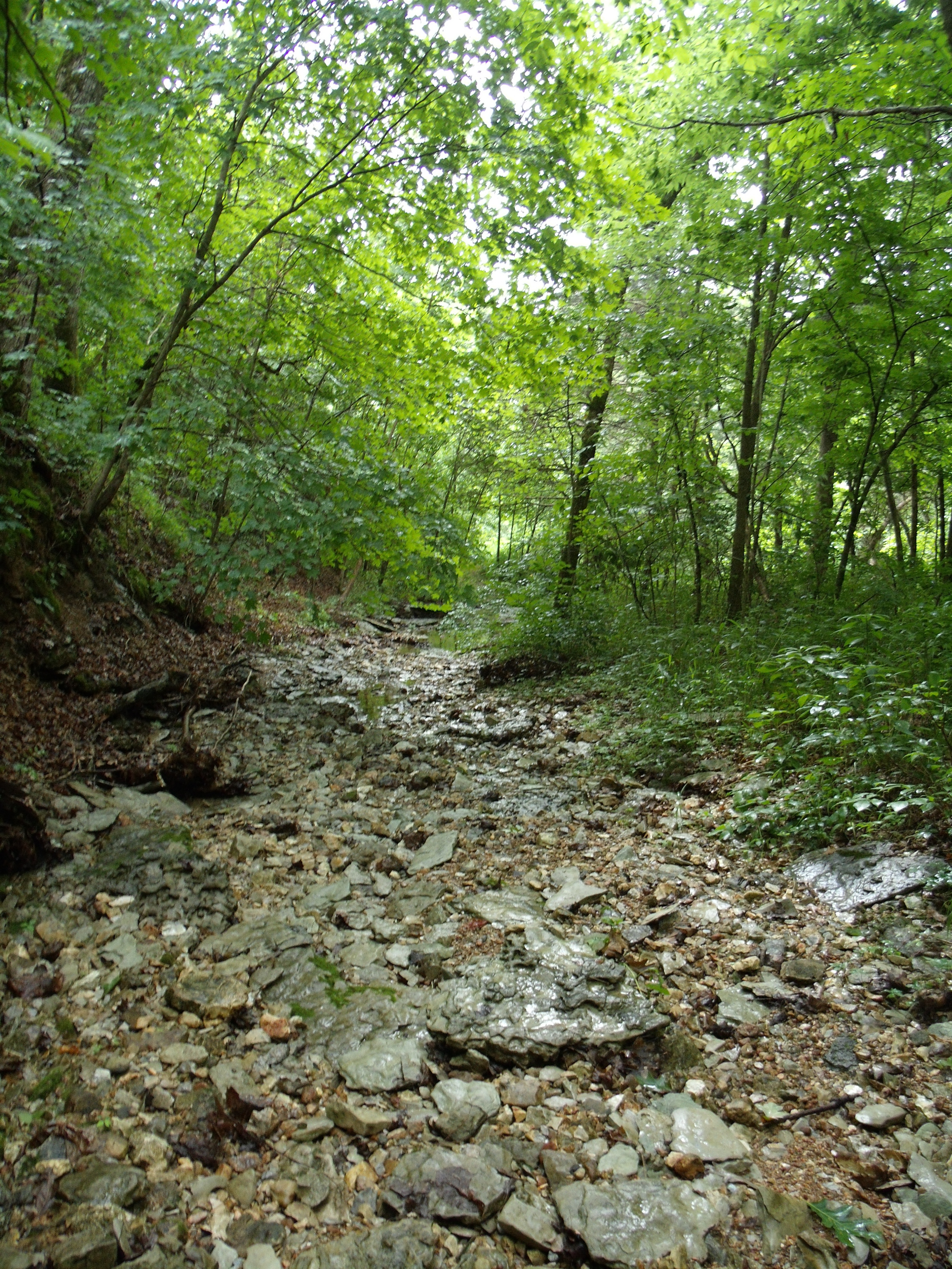a rocky creek at Big Sugar Creek State Park