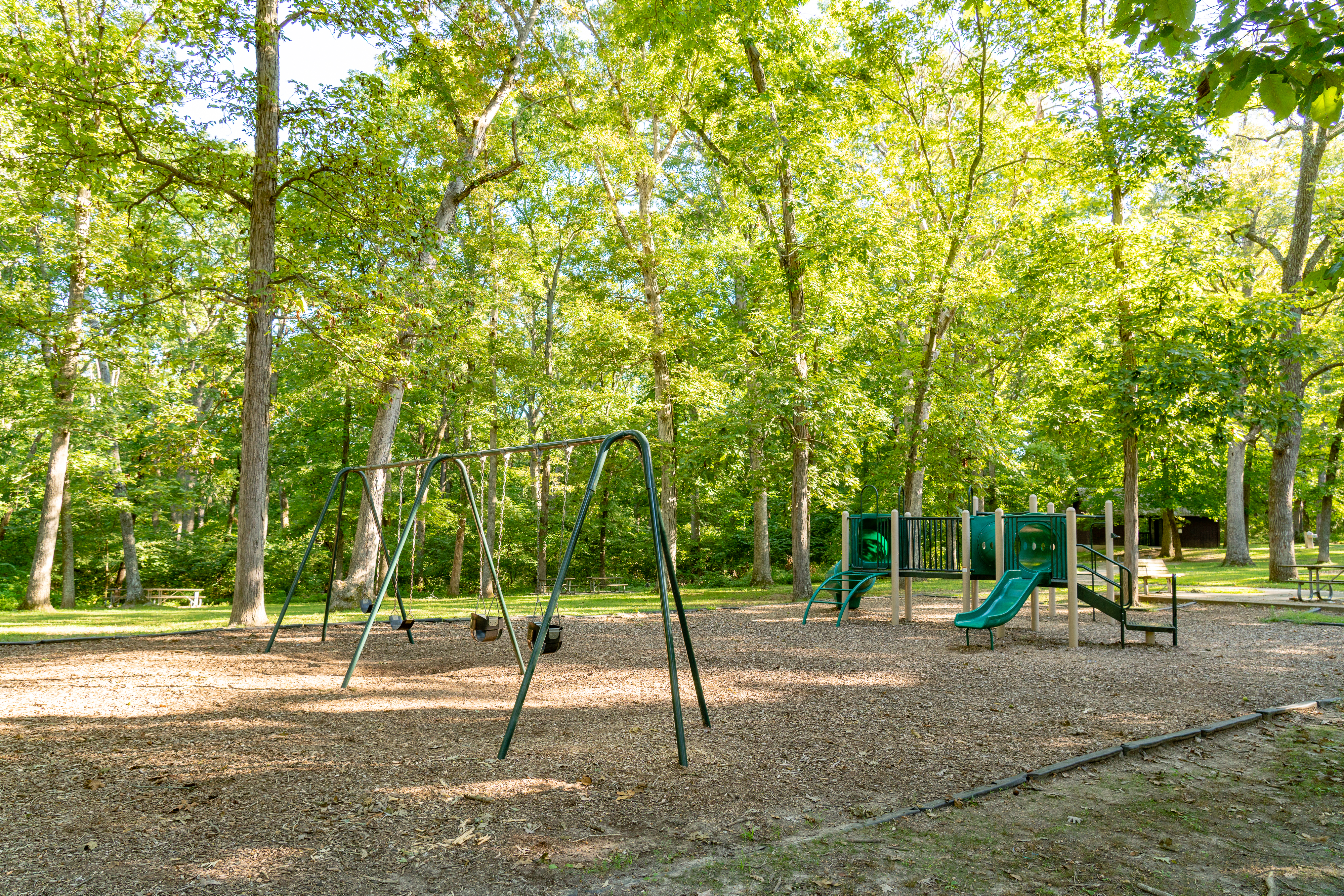 swings and slides at a park