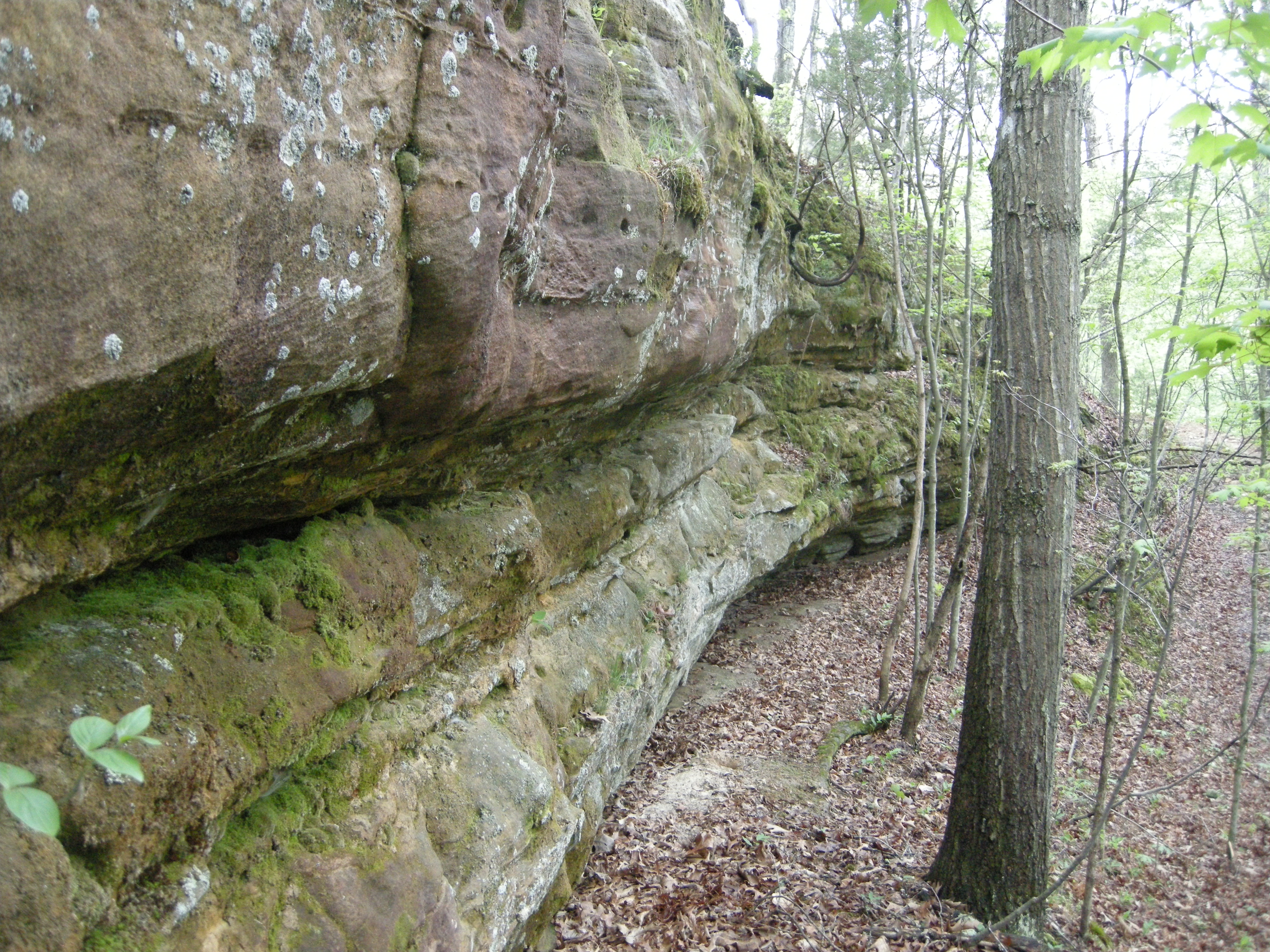 a rock wall
