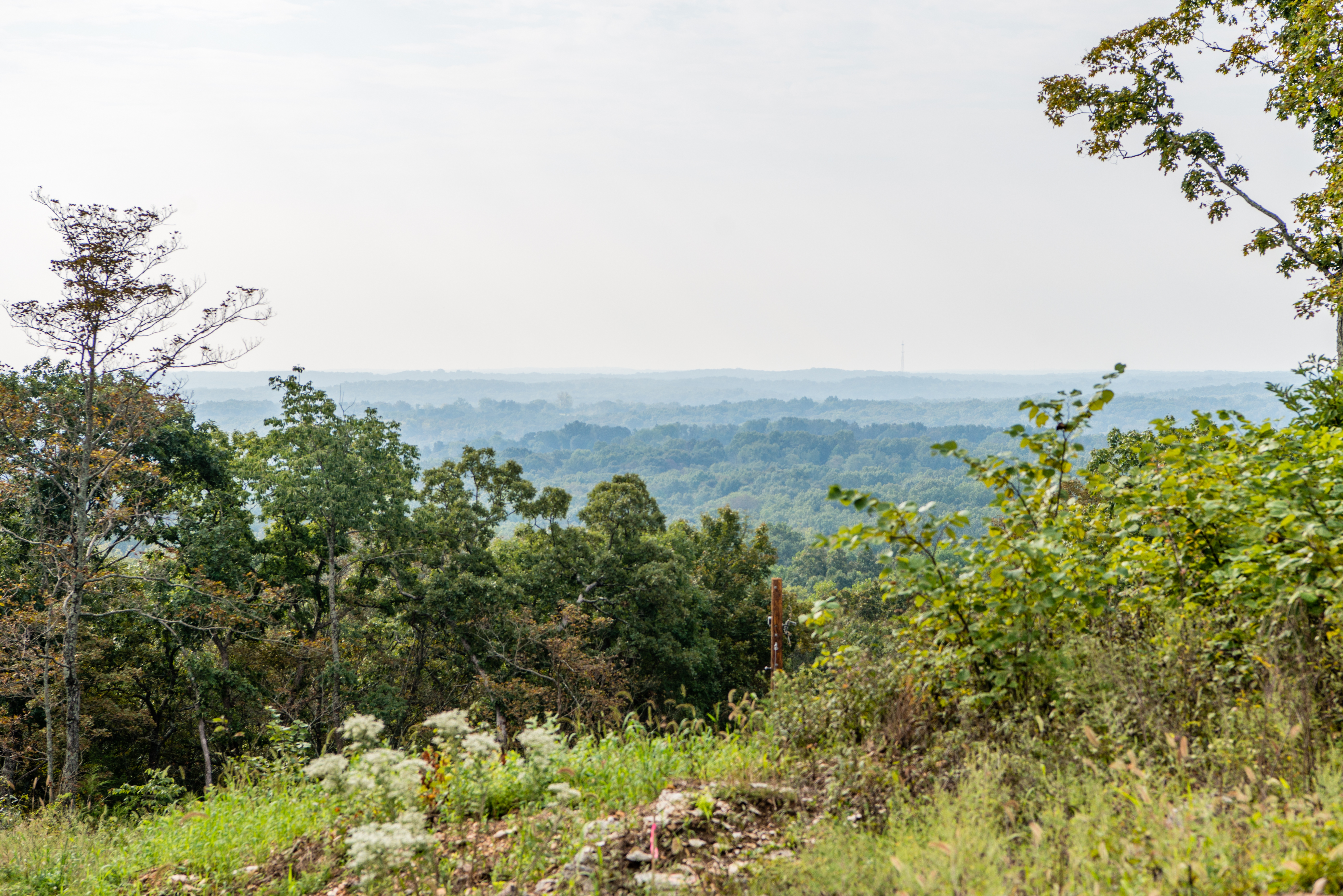 view from the top of a hill looking over a forest