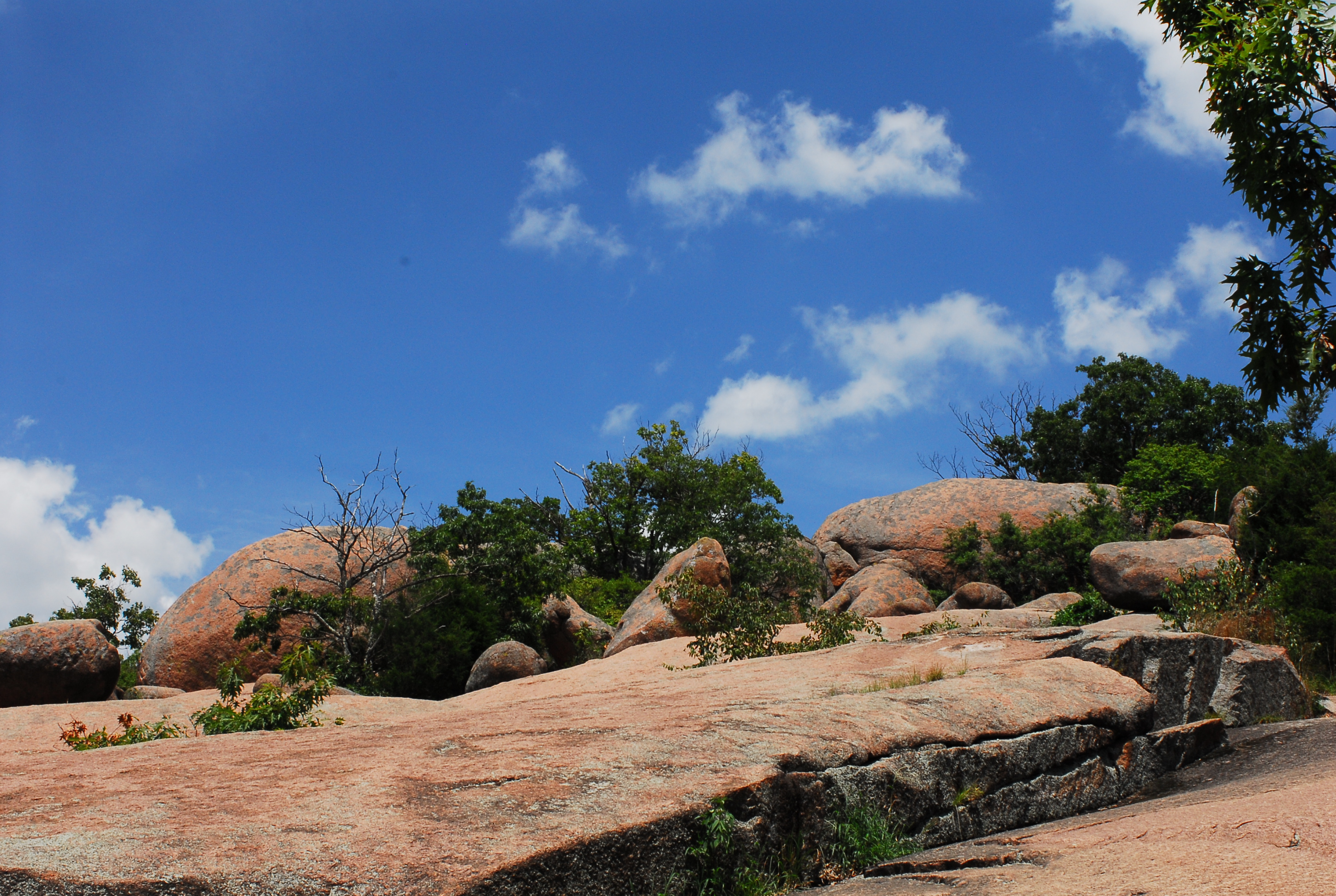 View from the top of a red walk