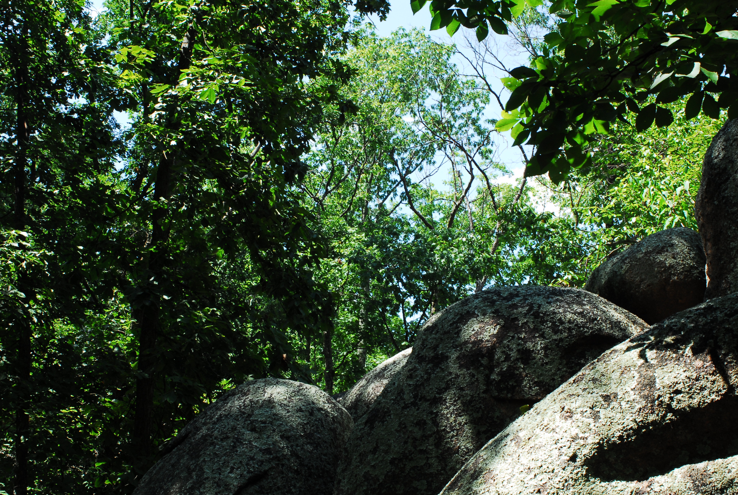 Boulders in the woods