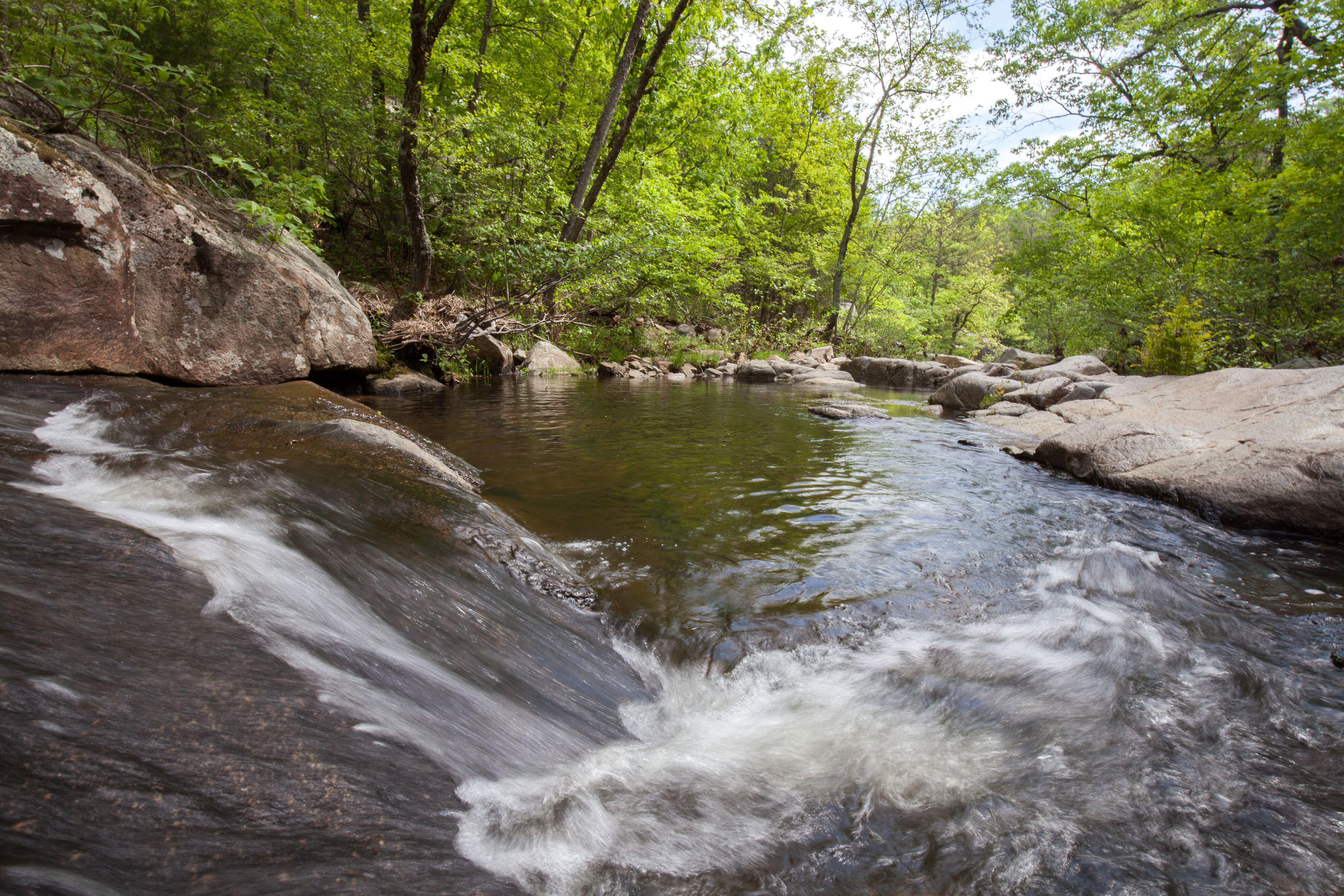 A stream in the woods