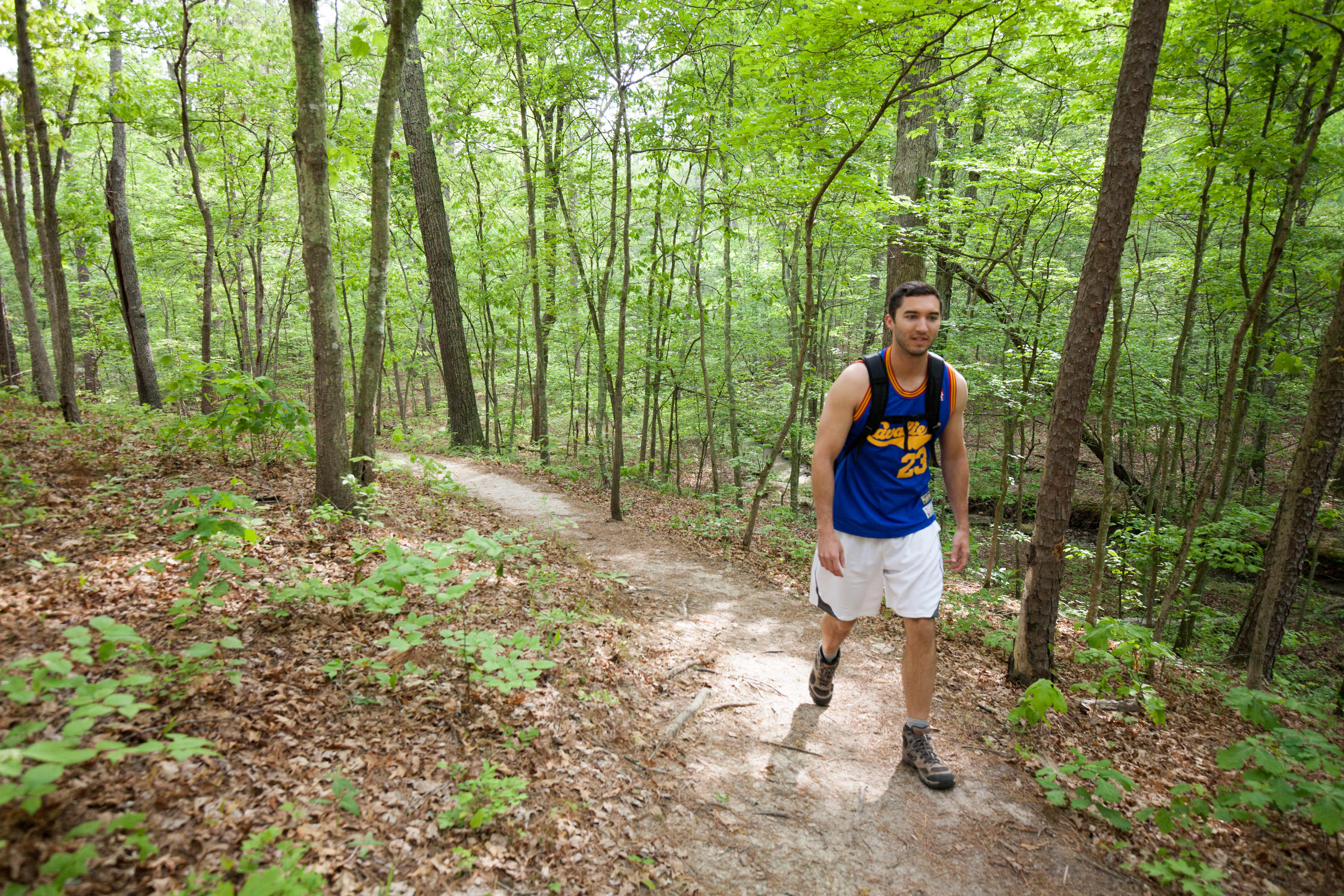 A man walking a trail in the woods