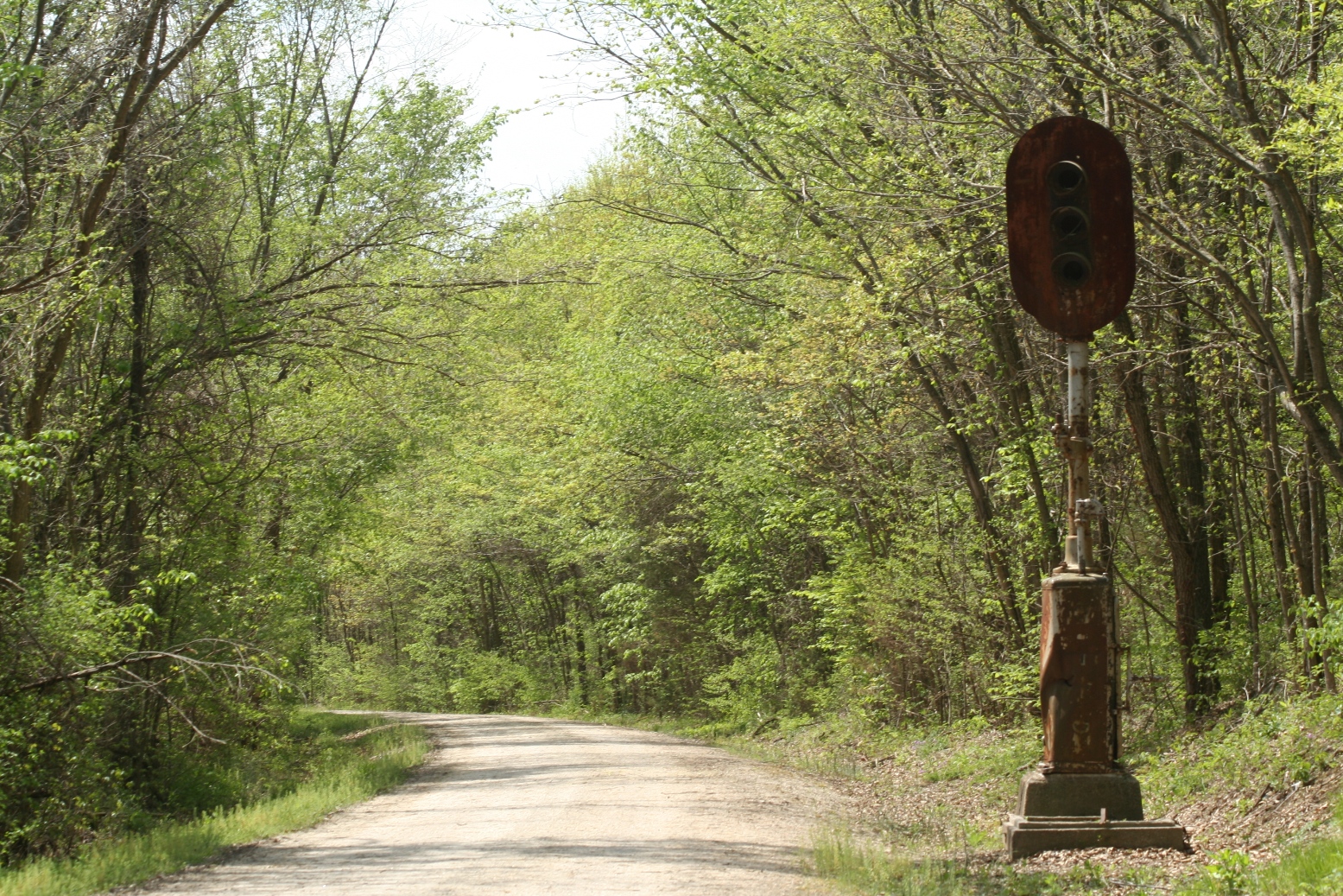 A trail through the woods