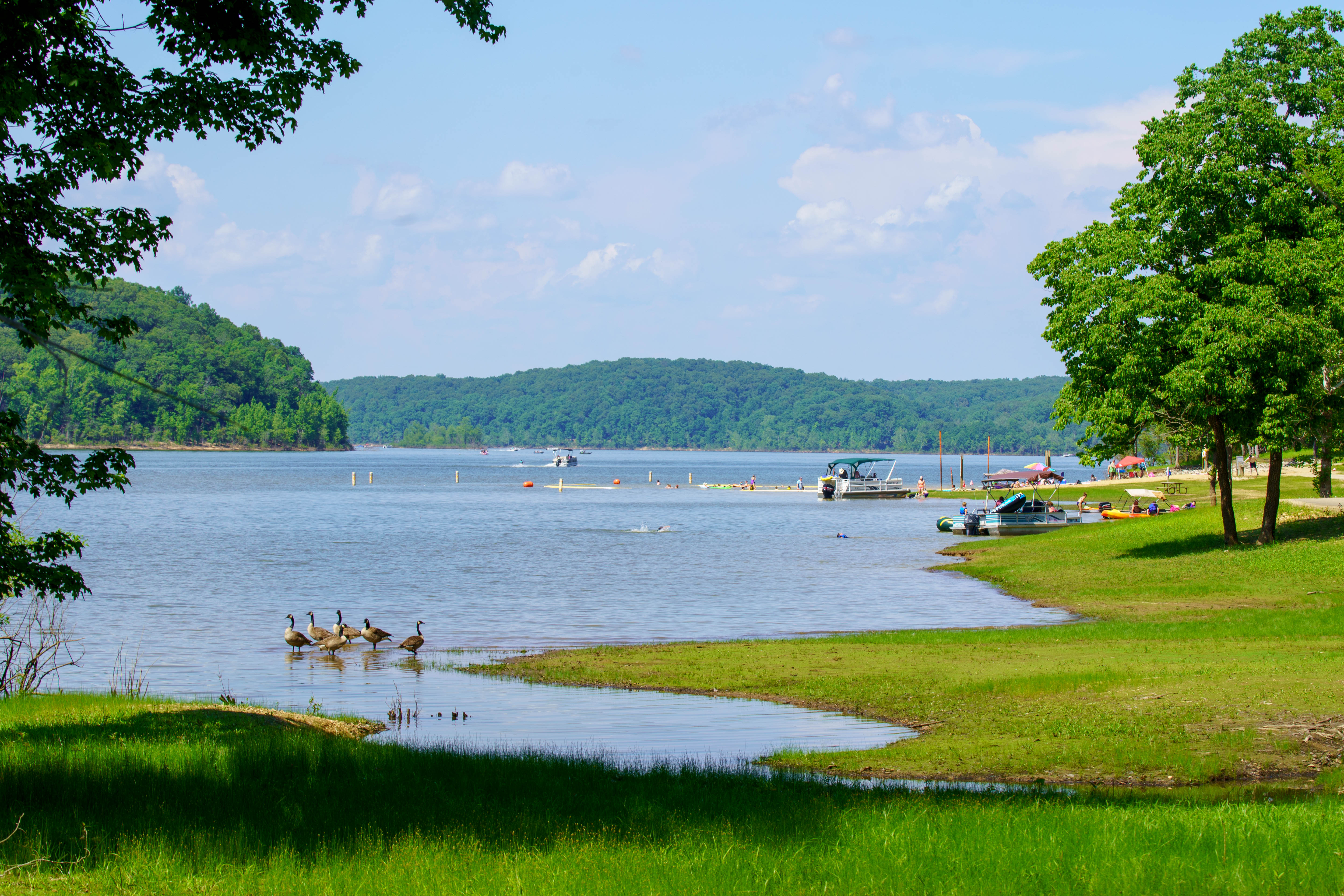 Lake shore
