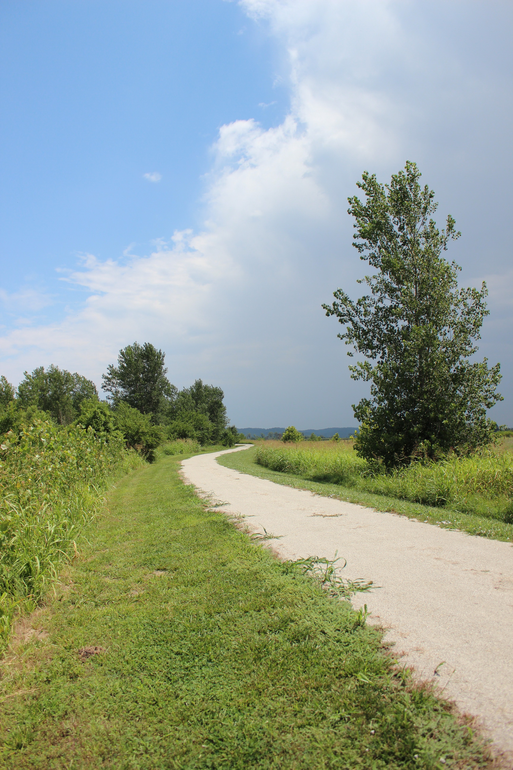 A path through a green field