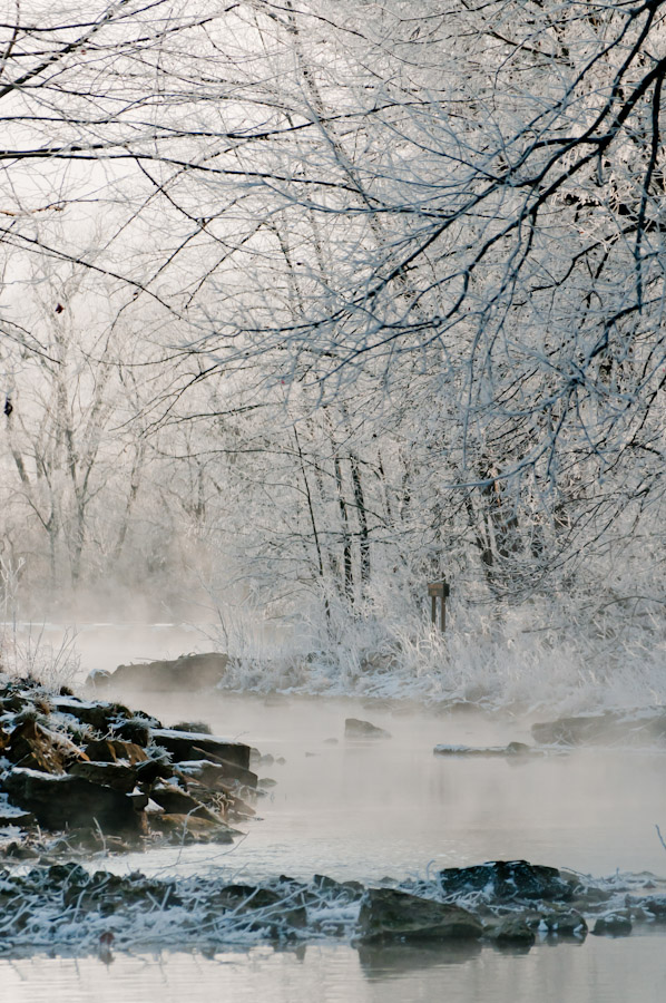 snow covered river and trees at Roaring River State Park