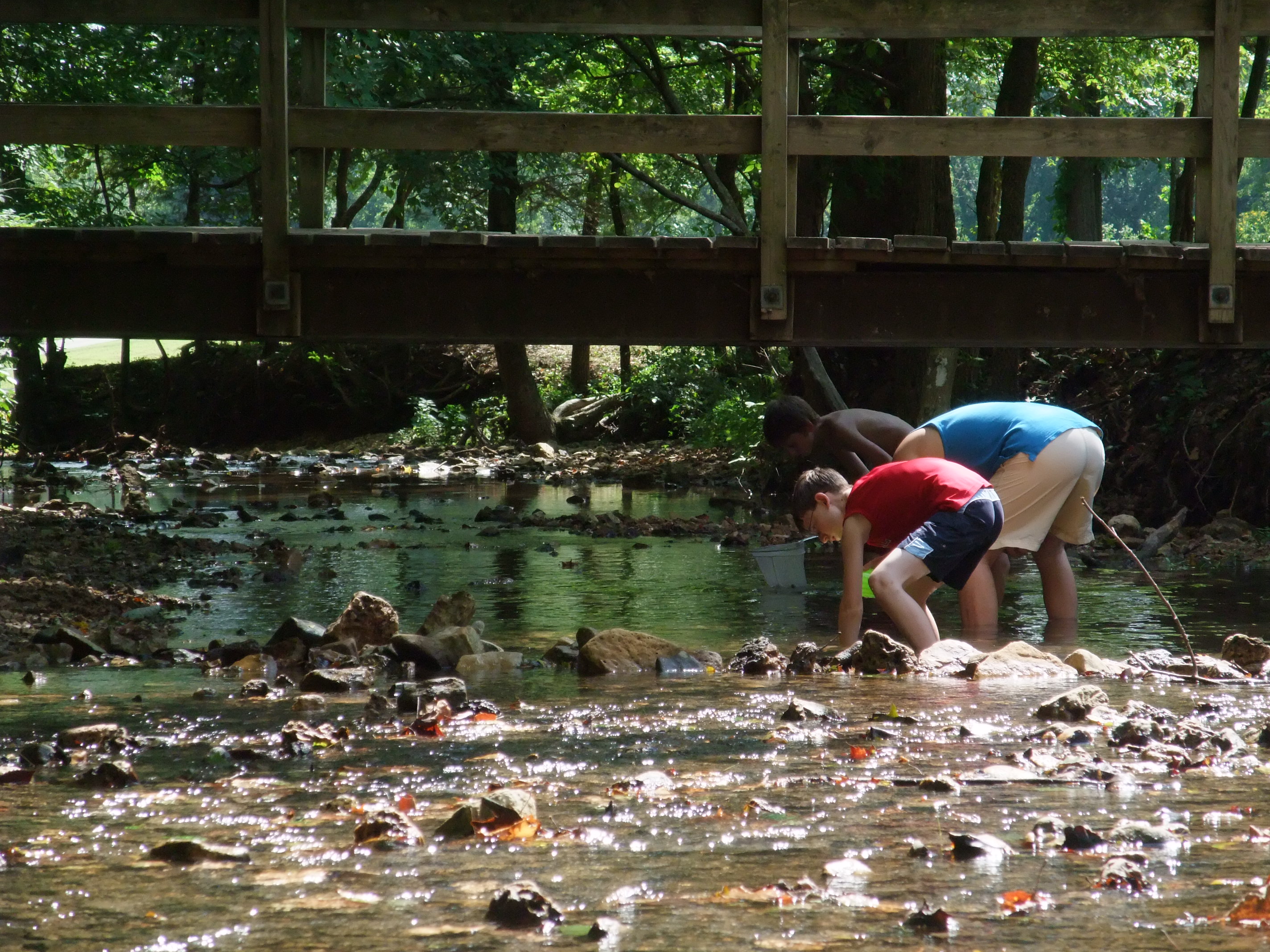 Children collecting rocks beneath a creak bridge
