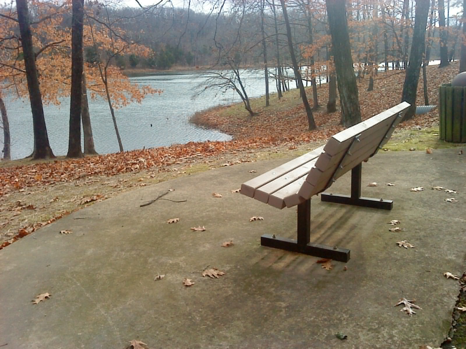A bench in the woods overlooking a river