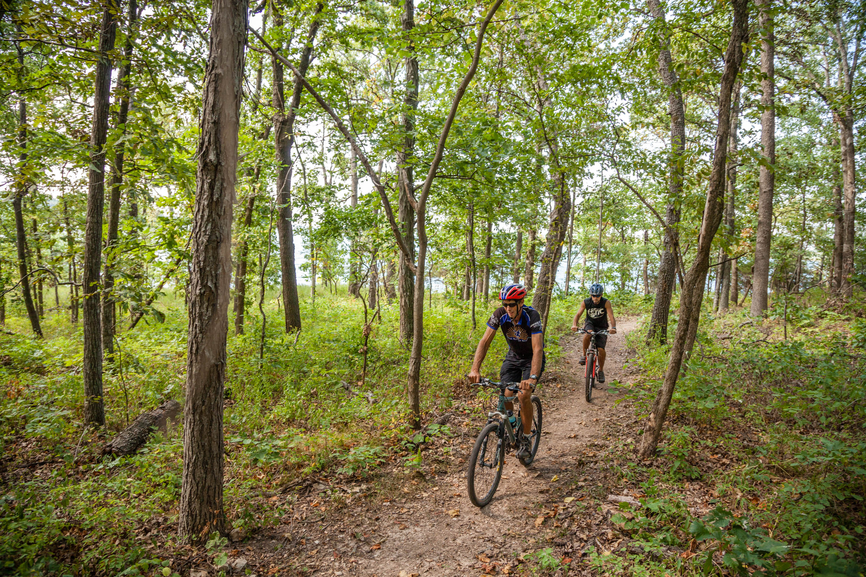 Two men riding bikes down a wooded dirt trail