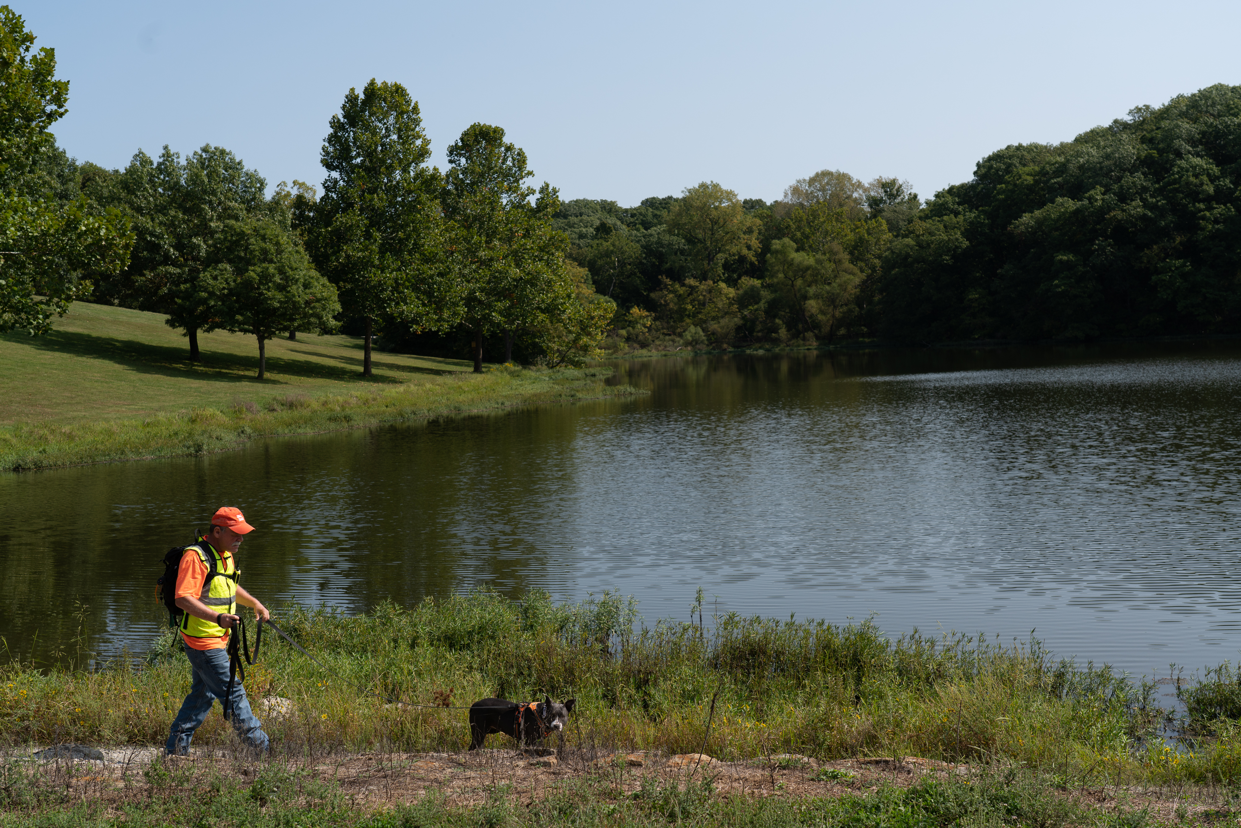 A person walking their dog by the water