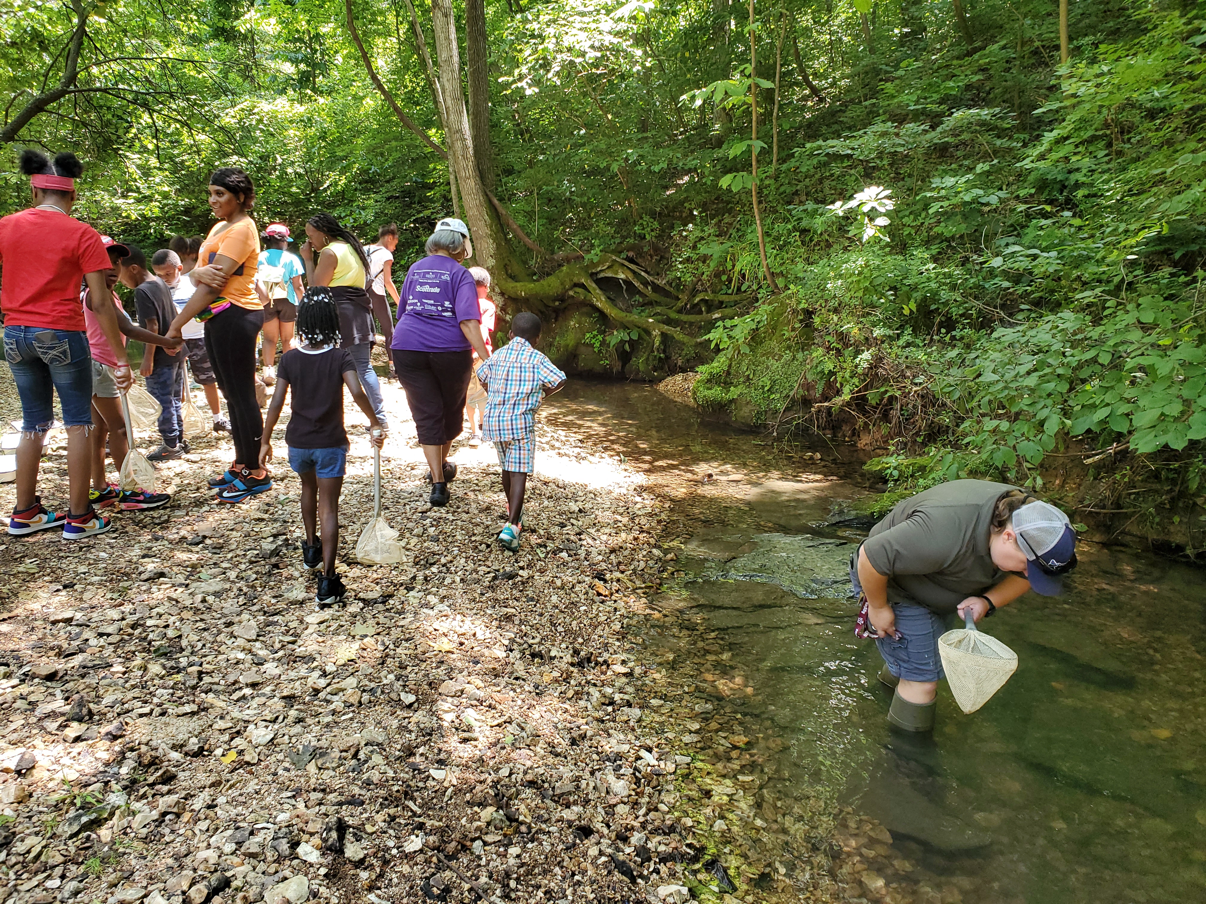 A school group with bug catching nets by a shallow river