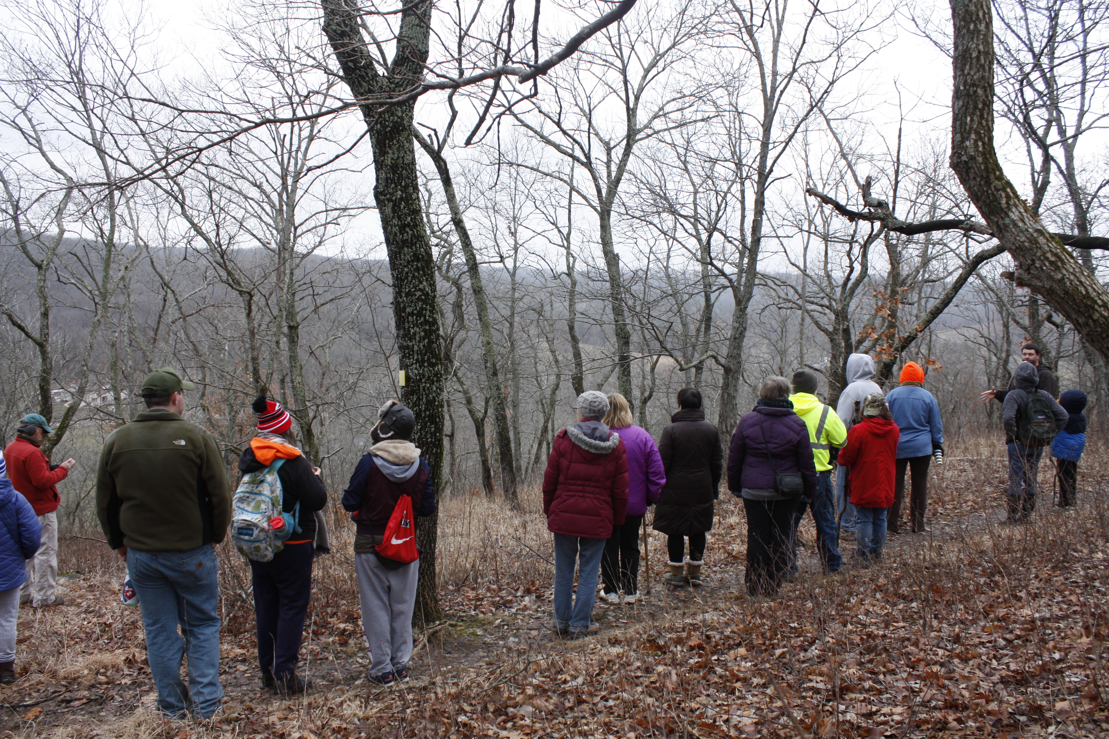 A group of people hiking a trail in autumn