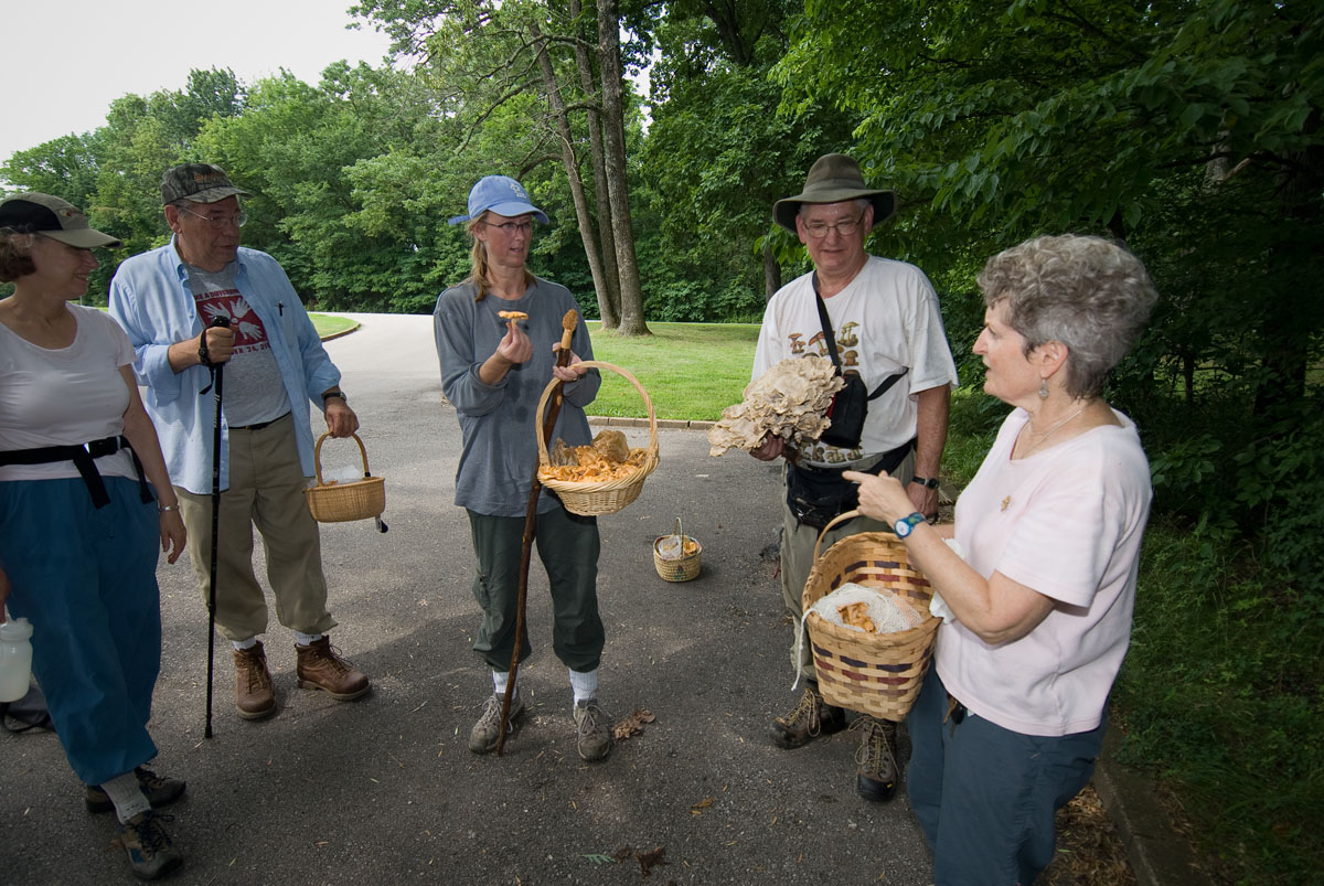 Five people with baskets of mushrooms to identify