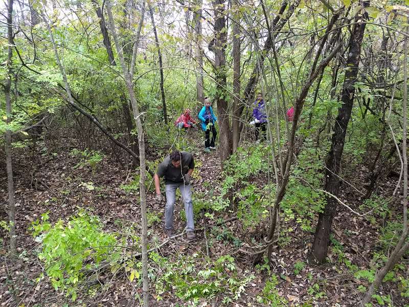 A family hiking through the woods