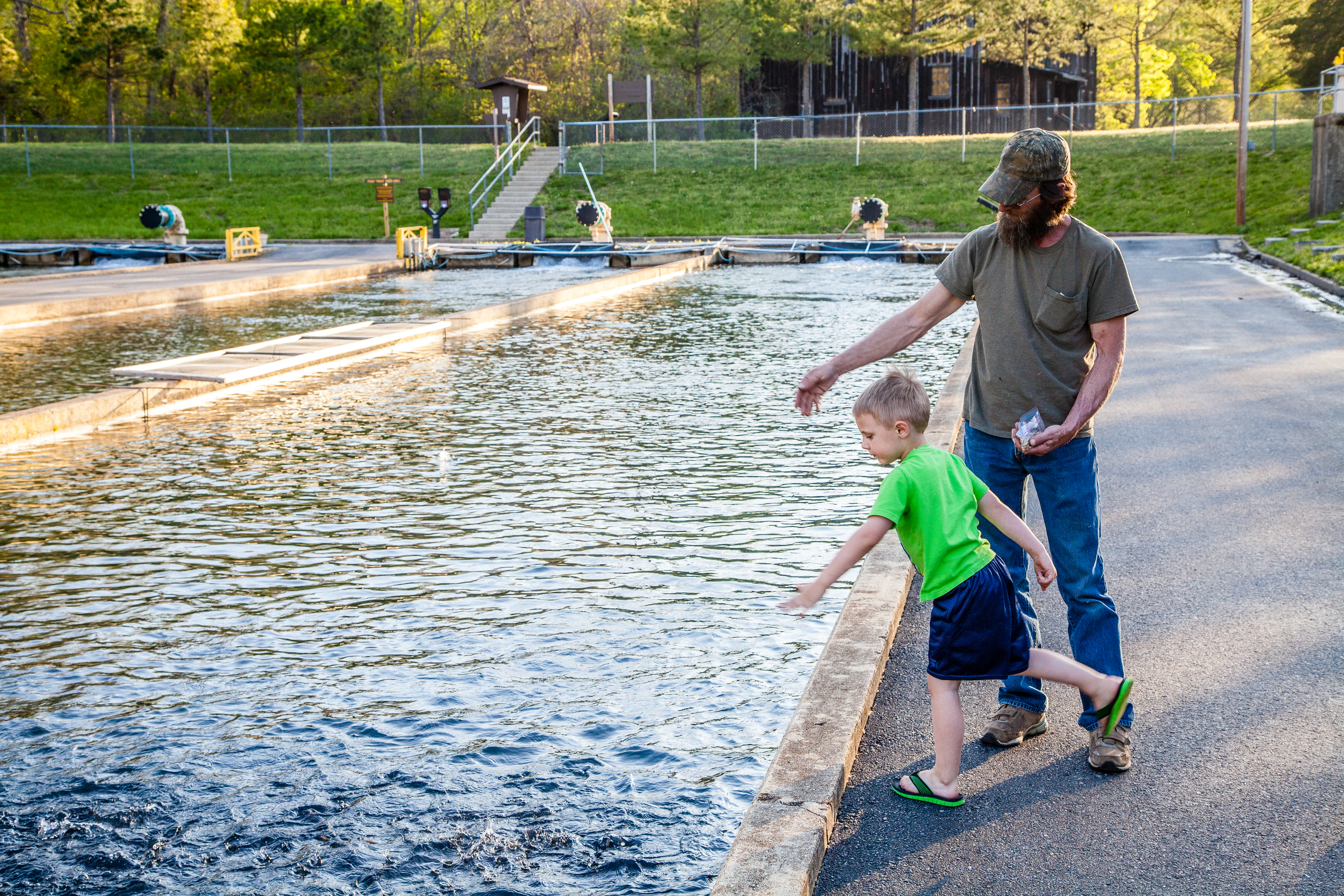 A father and son feeding fish