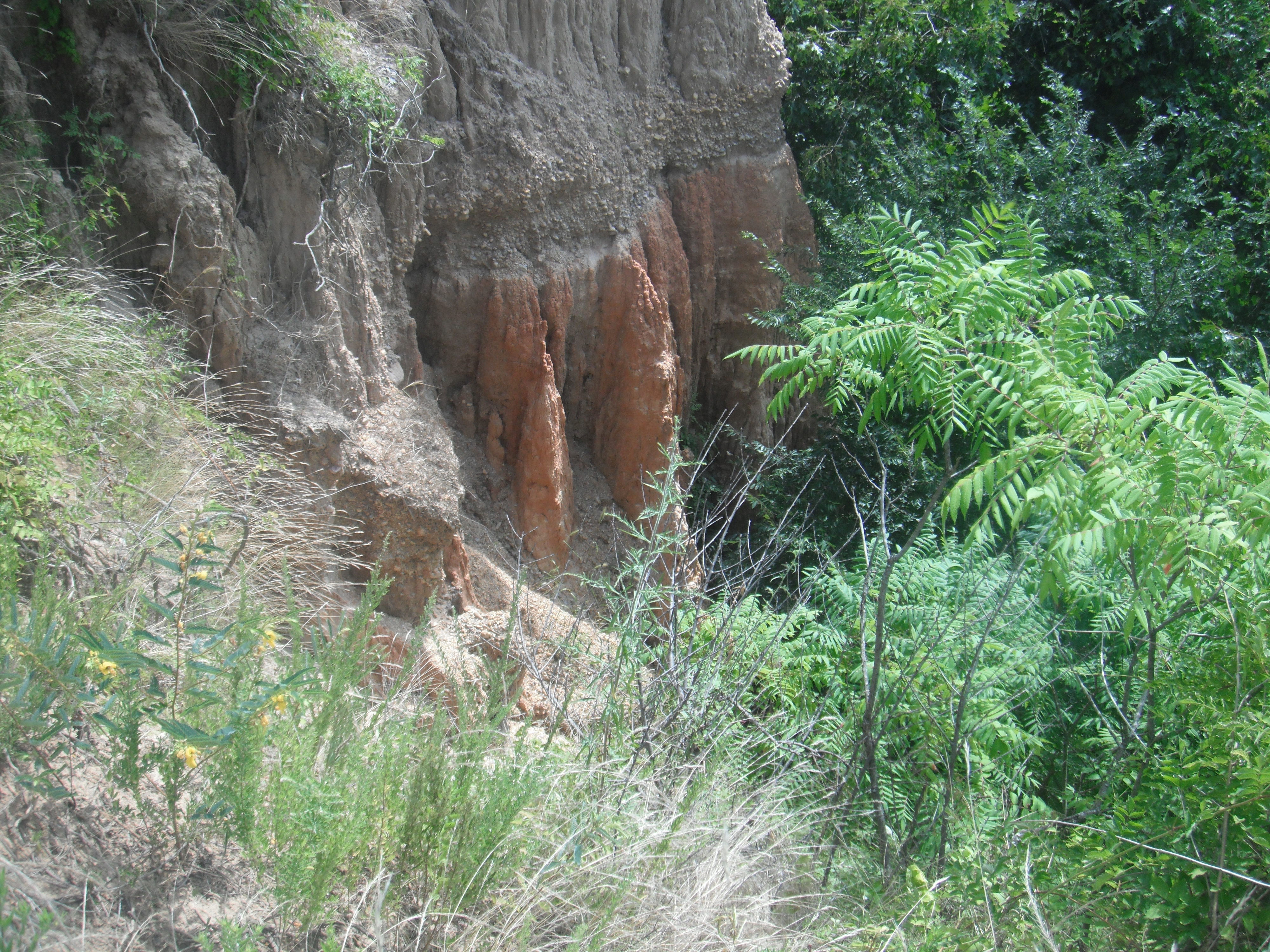 A cliff face with red rocks