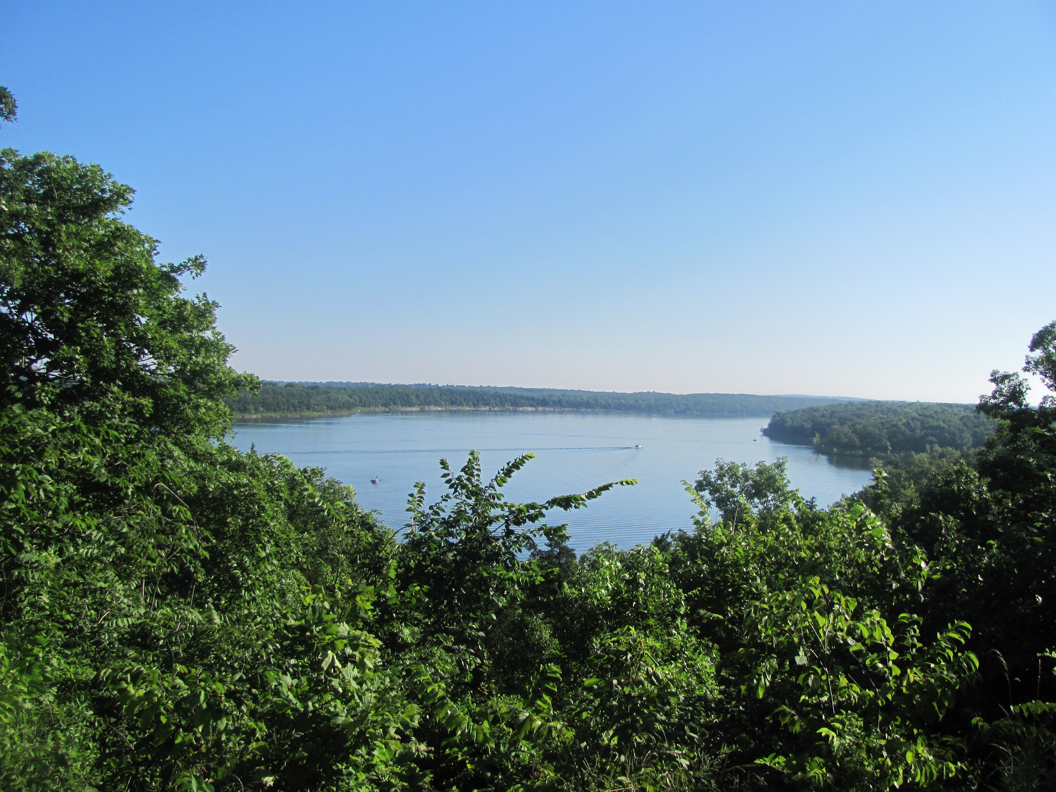 A lake surrounded by trees
