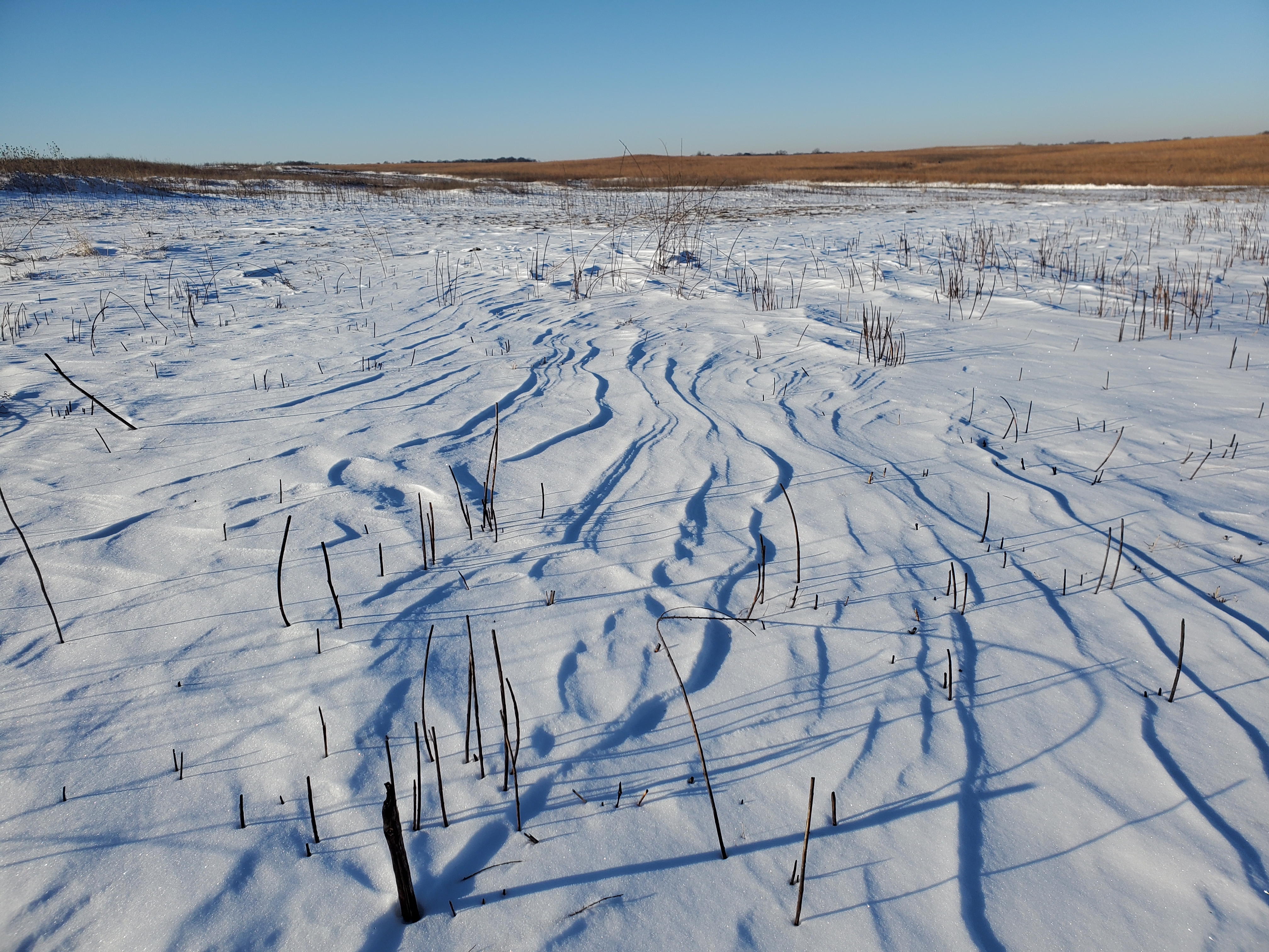 A snow covered prairie
