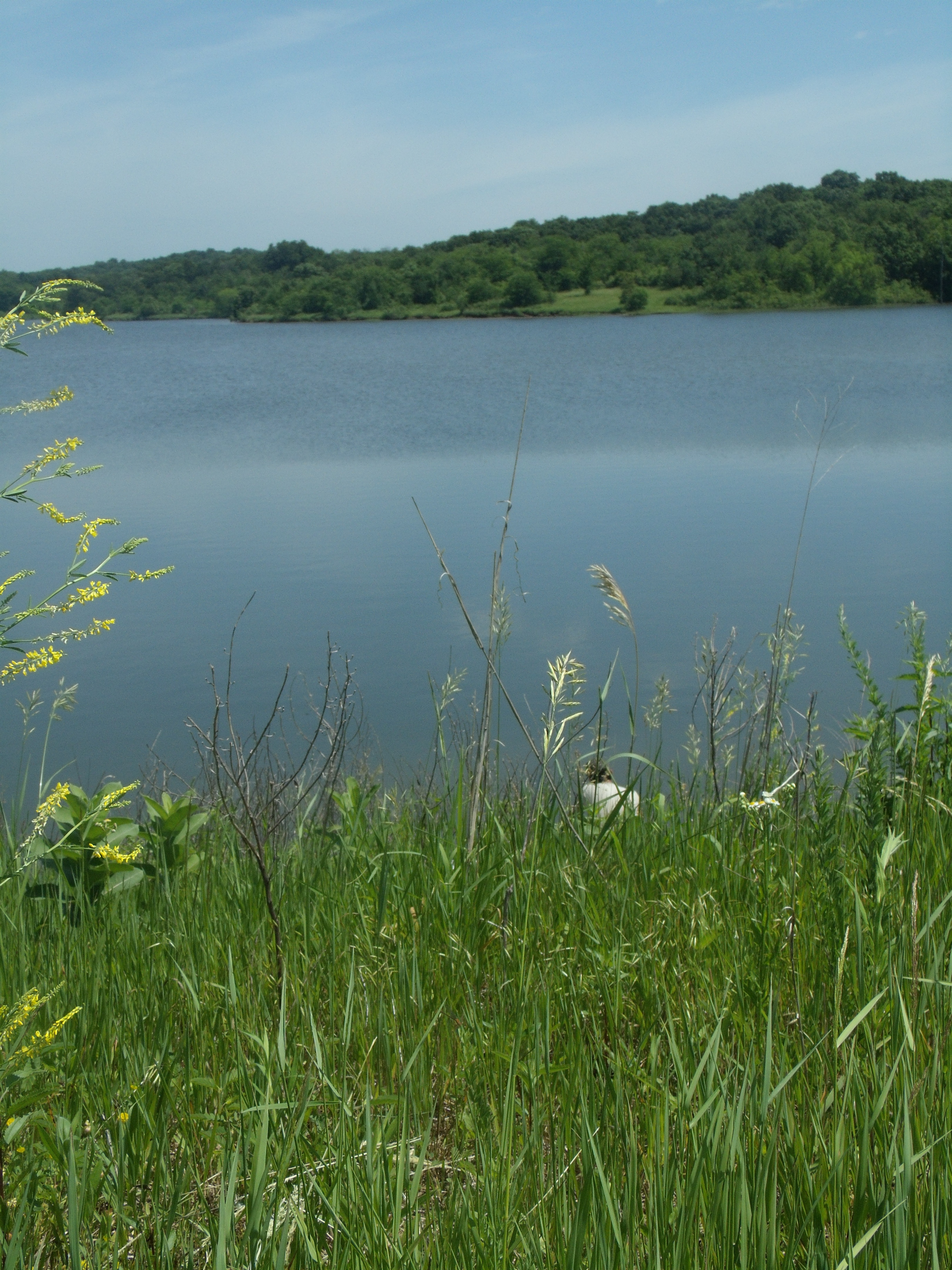 A hill overlooking a lake
