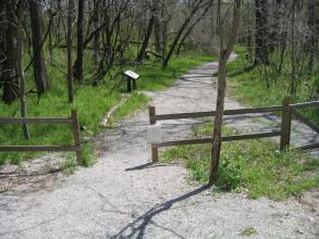 A walking path with a fence