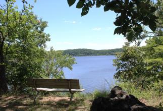 a bench looking over a lake