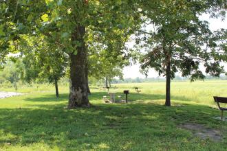 shaded picnic area