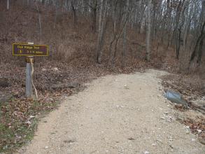 rocky trail