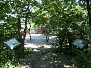 two interpretive panes and the overlook