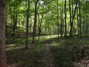 A hiking trail at Meramec State Park
