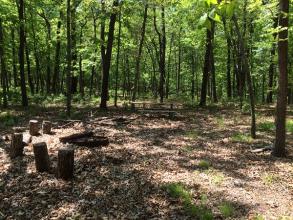 a fire ring and picnic table in a wooded area