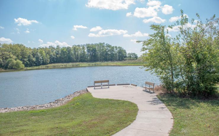 Sidewalk leading to an overlook over a body of water